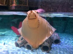 -沈阳海洋探索中心