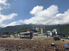 -杨梅坑