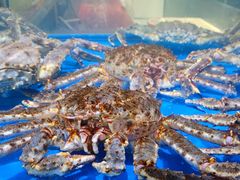 -神洲四海大酒楼(王府井澳门中心店)