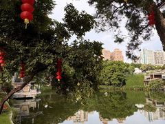 -荔湾湖公园
