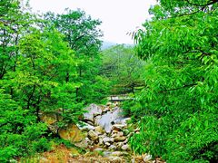 -沂蒙山旅游区云蒙景区(蒙山国家森林公园)