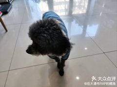 -宠福鑫动物医院(望京分院)