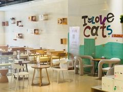 -藏猫猫咖啡主题馆(中央大道店)