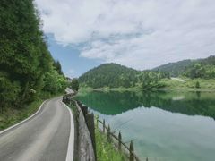 -武陵山森林公园