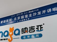 -纳吉亚猫专科动物诊疗中心(蒋宅口分院)