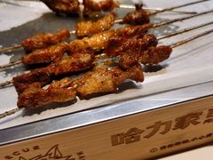 -哈力家·西北烧烤烤串(凤城三路店)