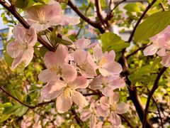 -经纬·泓汇地标家园