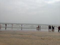 -日照海滨国家森林公园