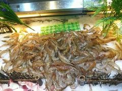 -蒙肥羊·酸汤潮牛·鲜牛肉火锅烤肉自助(岗顶店)