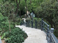 -顺峰山公园