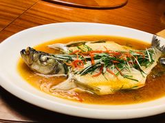 -老江南春·中国龙菜(衡山路店)