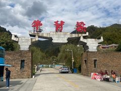 -牛背梁国家森林公园