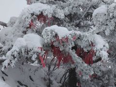-尧山大峡谷漂流
