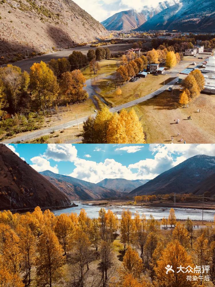 29实拍,新都桥秋色撩人-大众点评