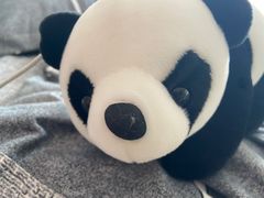 -瑞思少儿中心·少儿英语素养启蒙(新合作校区)