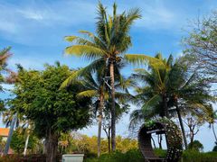 -三亚海棠湾万丽度假酒店