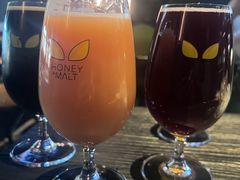 -蜜和麦精酿啤酒吧honey&malt(桐梓林店)