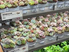 -鹿岛生活(熙地港店)