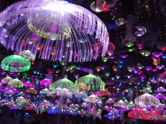 -梵高星空艺术馆(北京旗舰店)