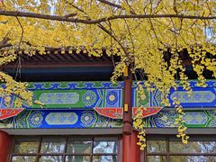 -四川大学(华西校区)