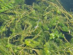 -野三坡清泉山风景区