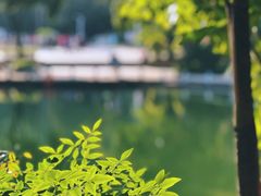 -人民公园(罗湖区)