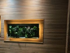 -前海沿·青岛菜(证大·大拇指广场店)