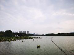 -长田漾湿地公园
