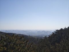 -大青山野生动物园