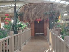 -南宫五洲植物乐园