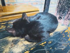 -新疆狼爷烤肉(宋庄店)