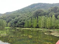 -广州市石门国家森林公园