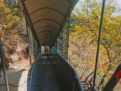 -鸡鸣山旅游风景区