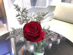 -天行健身＆天行拳馆跆拳道·格斗TXGYM