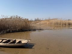 -盐城丹顶鹤湿地生态旅游区
