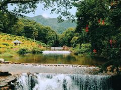 -广州市石门国家森林公园
