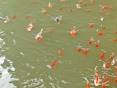 -陶祖圣境风景区