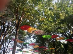 -西安汉城湖景区