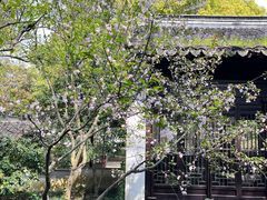 -惠山古镇·寄畅园