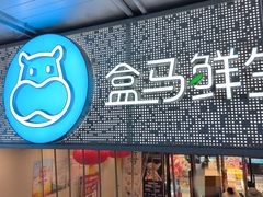 -盒马鲜生(双清路店)