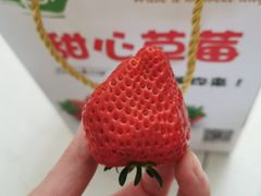 -甜心庄园·甜心草莓采摘园(西青中北店)