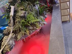 -星河湾温泉洗浴酒店