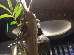 -半悦牛排(龙湖西宸天街店)