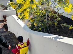 -龙岩森林水乡景区