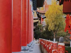 -开福禅寺