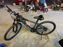 -道路口单车爱瓦士dahon大行