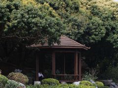 -红花山公园