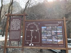 -大岭沟猕猴桃谷风景区