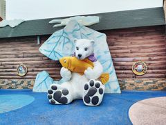 -海合安武汉极地海洋公园