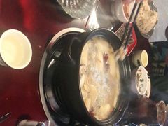 -蘑统田下·野生菌火锅